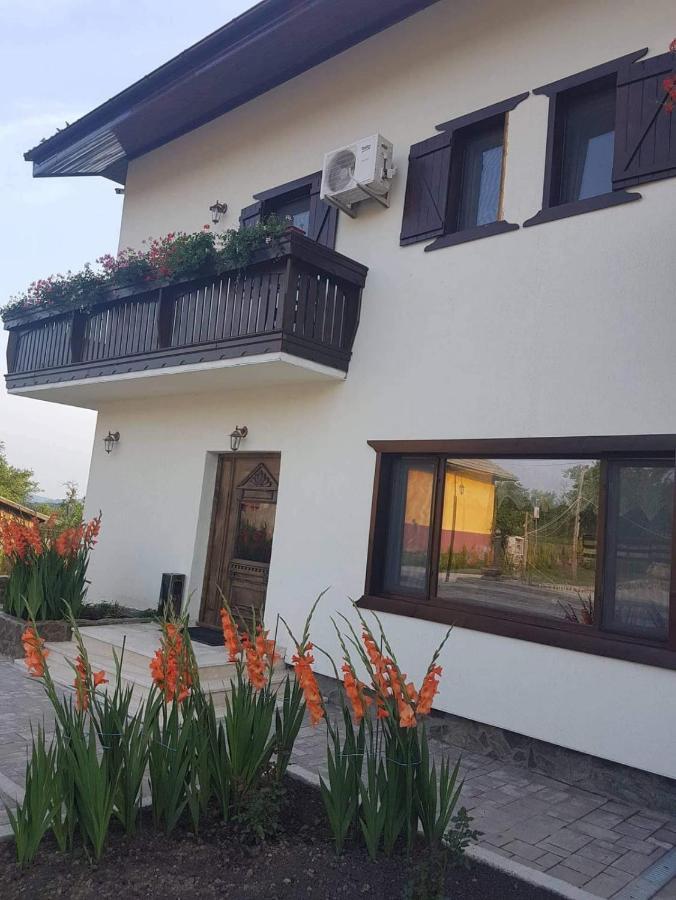 Complex Transalpina Hotel Aninisu din Vale Ngoại thất bức ảnh