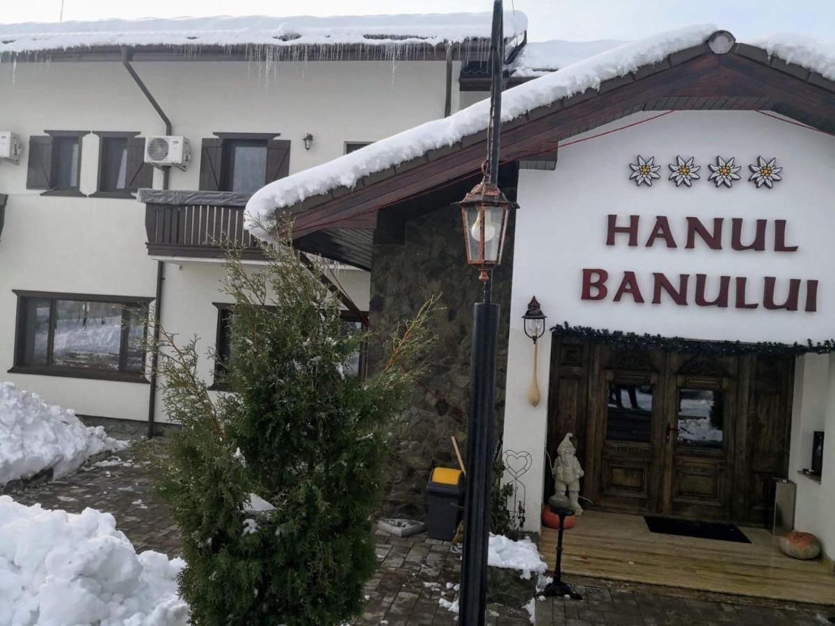 Complex Transalpina Hotel Aninisu din Vale Ngoại thất bức ảnh
